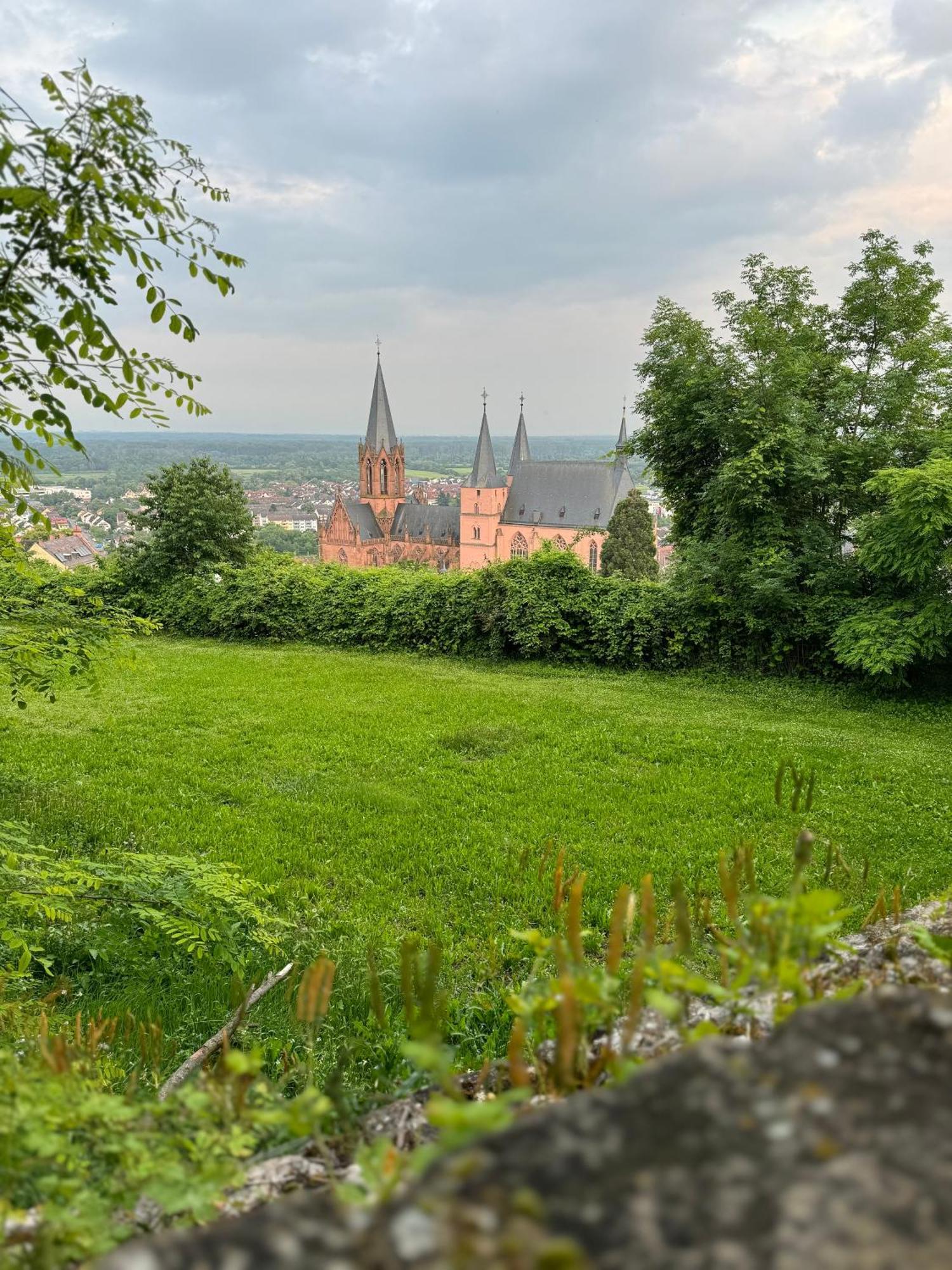 Rheinblick-Oase Oppenheim Appartement Buitenkant foto